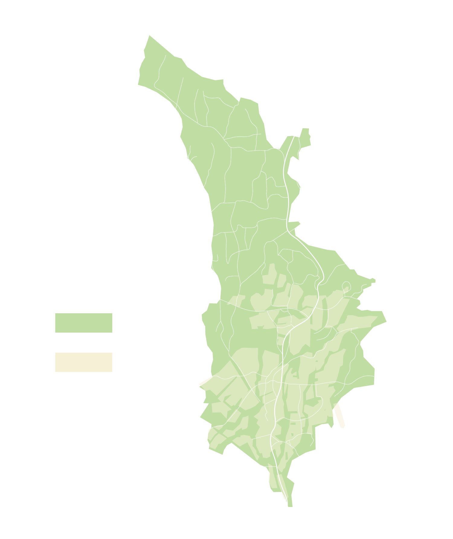 樹齢114年の杉の写真